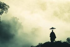 Shinrin Yoku, czyli japońskie kąpiele leśne