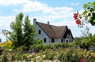 Naprawa dachu po kunie Warszawa – gdzie szukać specjalistów?